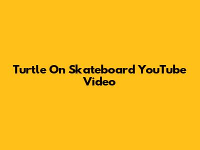 Turtle On Skateboard YouTube Video