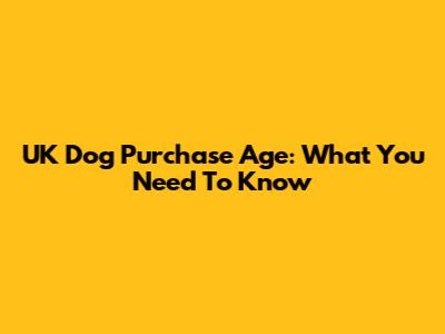 UK Dog Purchase Age: What You Need To Know