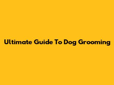 Ultimate Guide To Dog Grooming