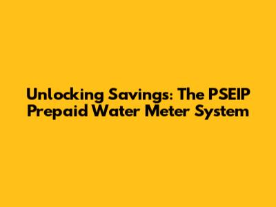 Unlocking Savings: The PSEIP Prepaid Water Meter System