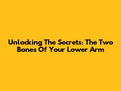 Unlocking The Secrets: The Two Bones Of Your Lower Arm