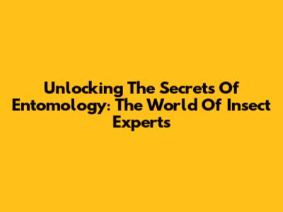 Unlocking The Secrets Of Entomology: The World Of Insect Experts