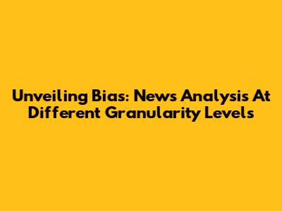 Unveiling Bias: News Analysis At Different Granularity Levels