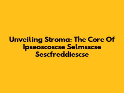 Unveiling Stroma: The Core Of Ipseoscoscse Selmsscse Sescfreddiescse