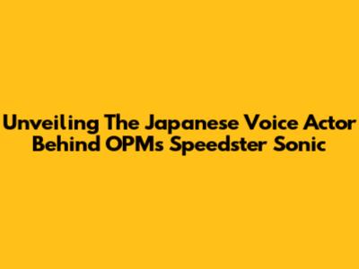 Unveiling The Japanese Voice Actor Behind OPM's Speedster Sonic
