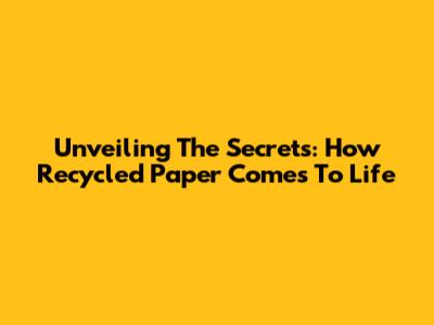 Unveiling The Secrets: How Recycled Paper Comes To Life