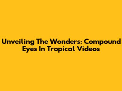 Unveiling The Wonders: Compound Eyes In Tropical Videos