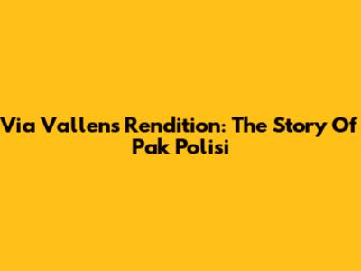 Via Vallen's Rendition: The Story Of 'Pak Polisi'