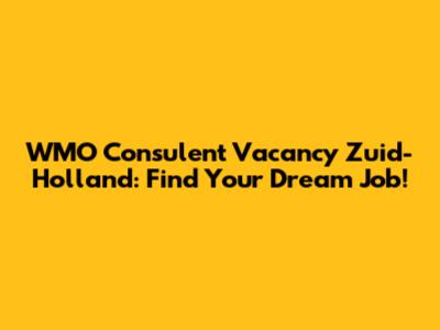 WMO Consulent Vacancy Zuid-Holland: Find Your Dream Job!