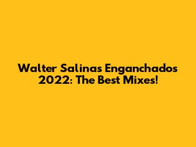 Walter Salinas Enganchados 2022: The Best Mixes!