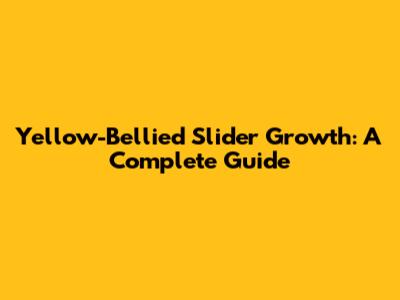 Yellow-Bellied Slider Growth: A Complete Guide